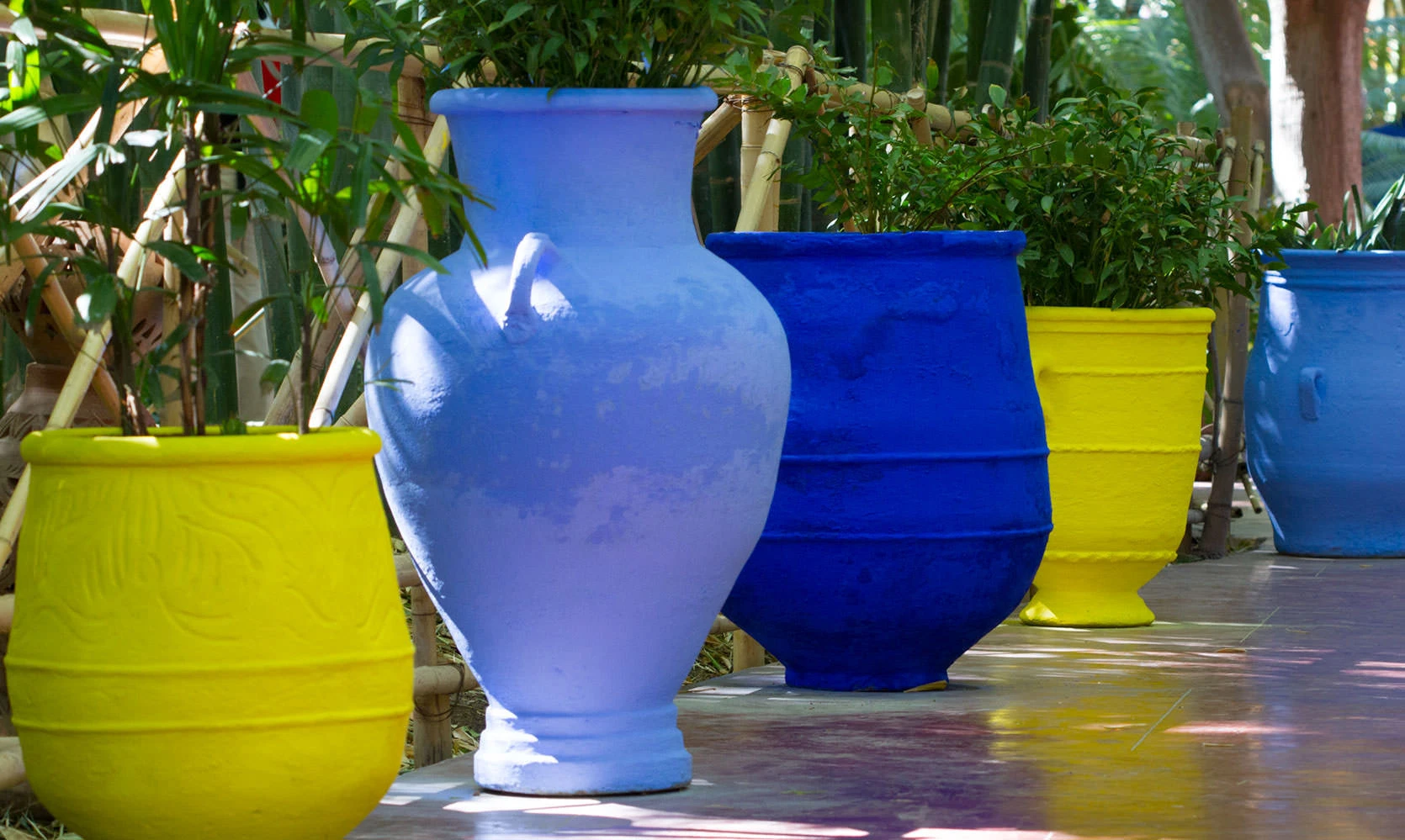 Vivid yellow and blue pots lining a shaded walkway in Marrakech's Majorelle Garden.