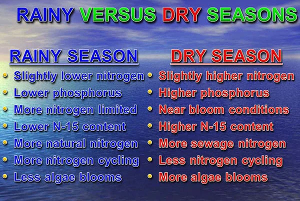 Rainy Season