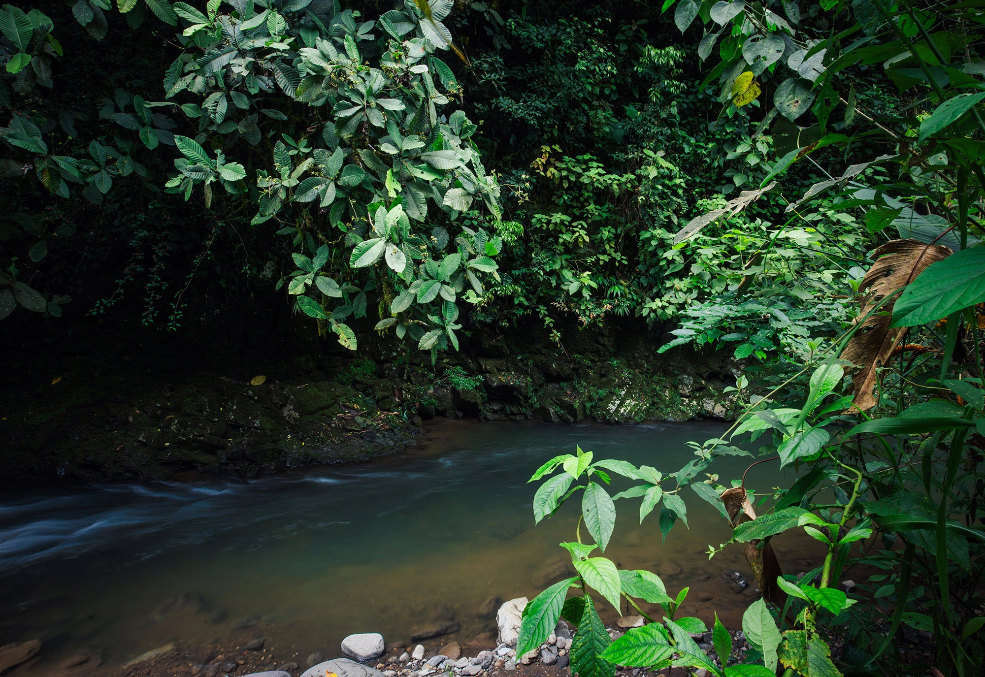 The Evidence at Río Guayabo, Costa Rica