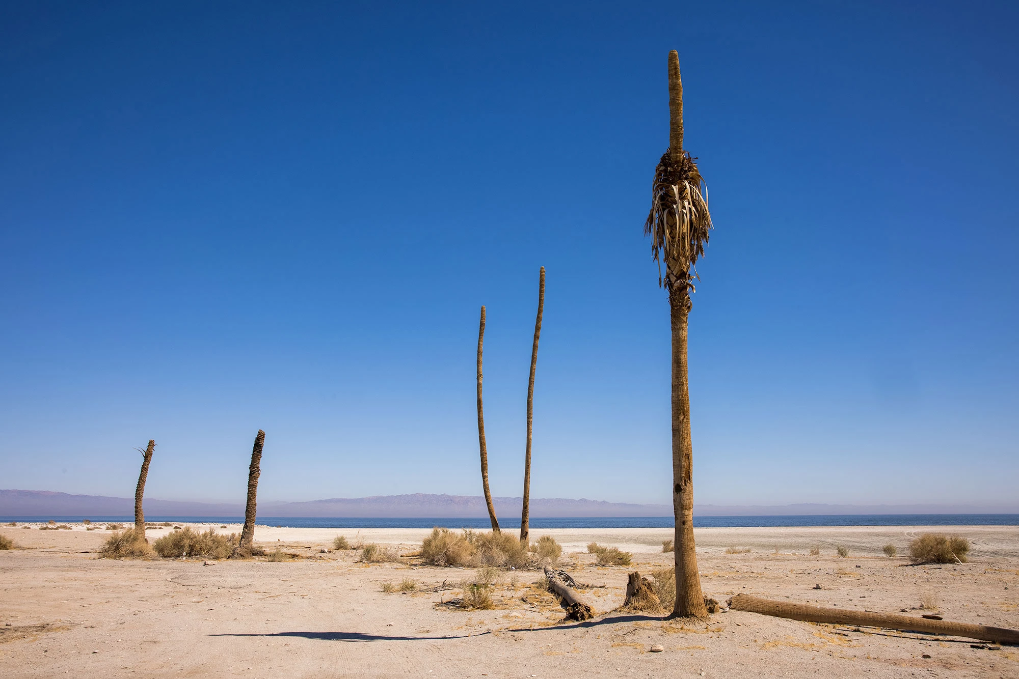 Abandoned Marina at Salton City