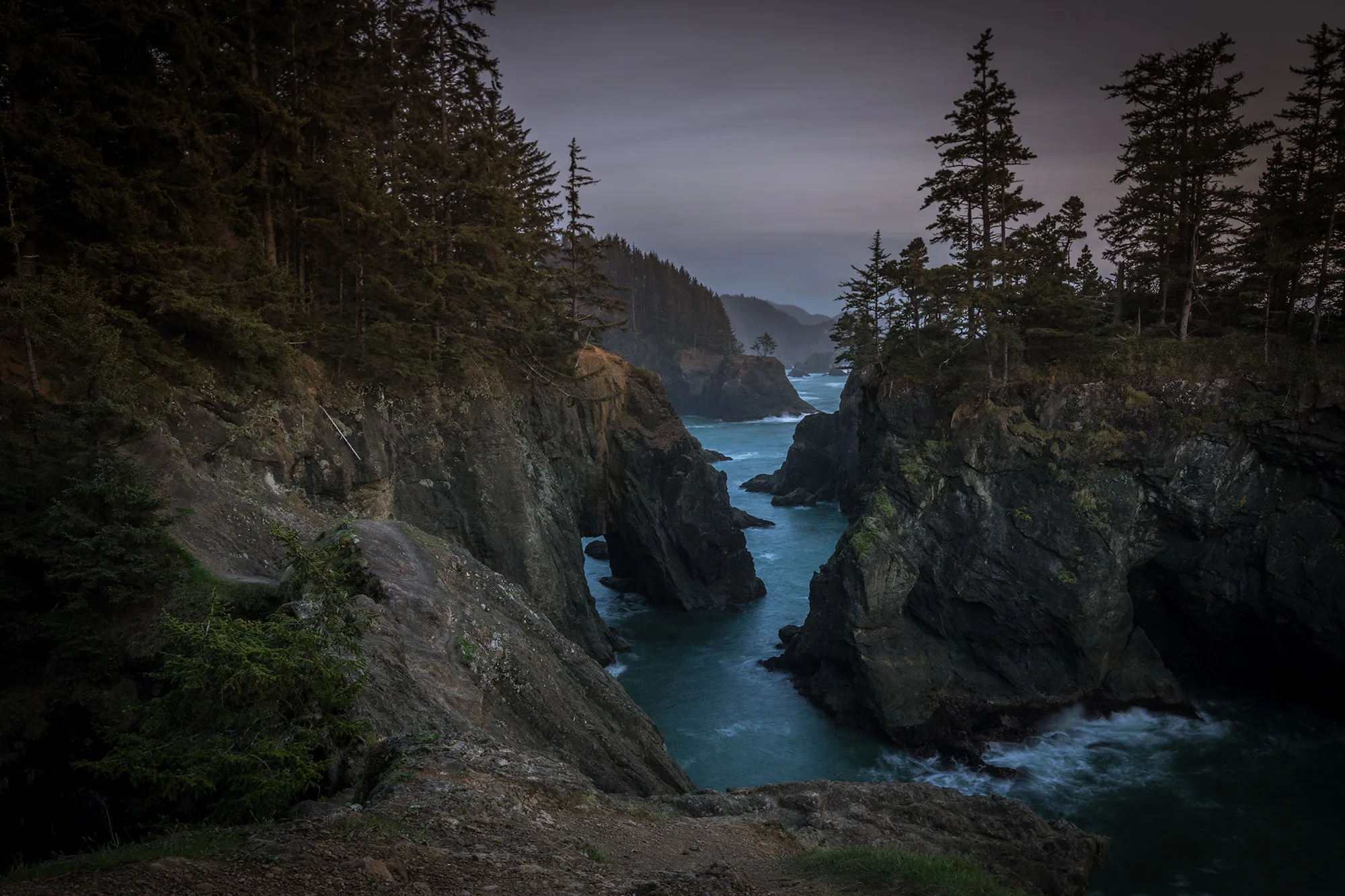 Forested cliffs and a narrow blue-green sea inlet along the Samuel H. Boardman State Scenic Corridor on the southern Oregon Coast.
