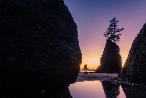Shi Shi Beach Trail