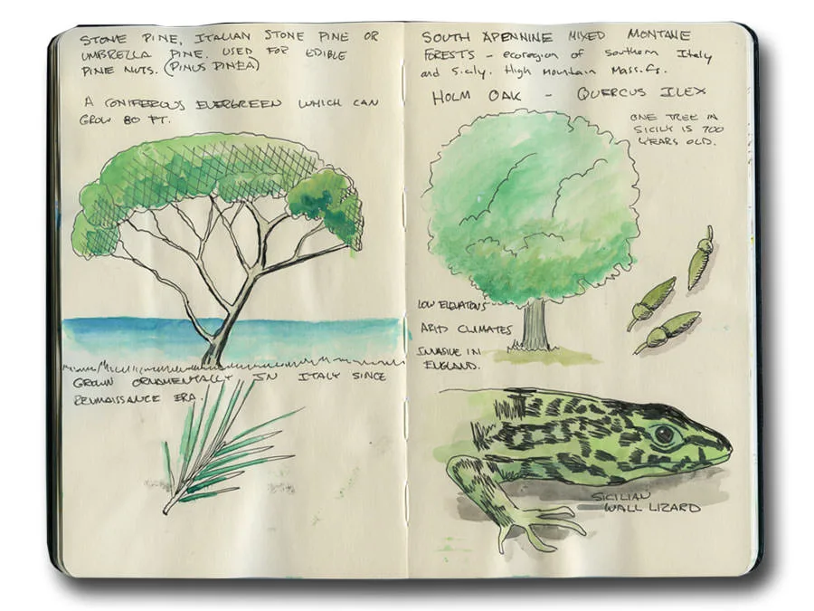 Sicily, Italy Travelogue Journal