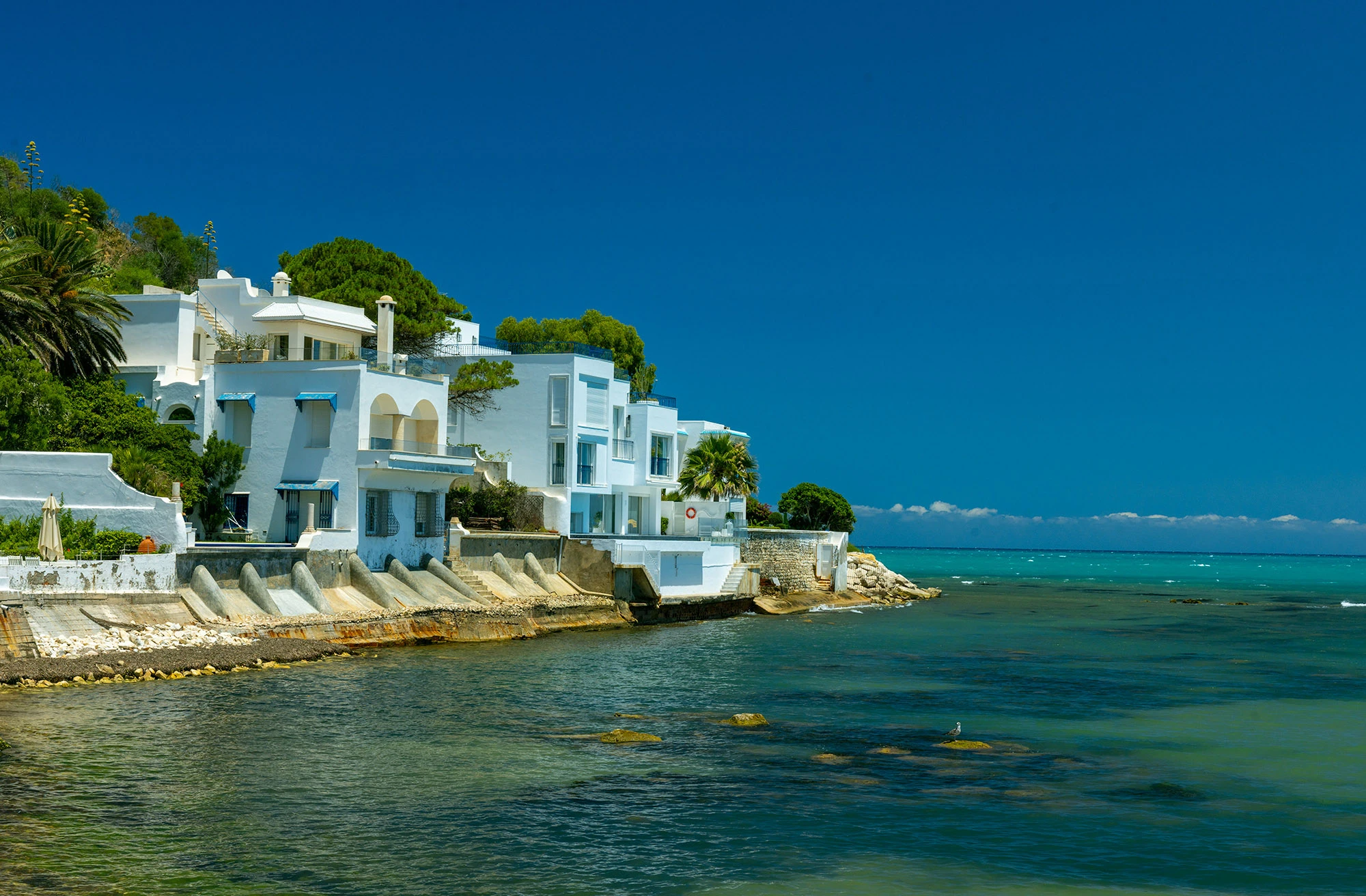 Whitewashed villas of Sidi Bou Said perched above the turquoise Mediterranean, their cobalt shutters and arches mirroring sea and sky. The image captures the harmony between architecture and landscape that defines the village's mythic allure—where civilization and sea fuse into one continuous surface.