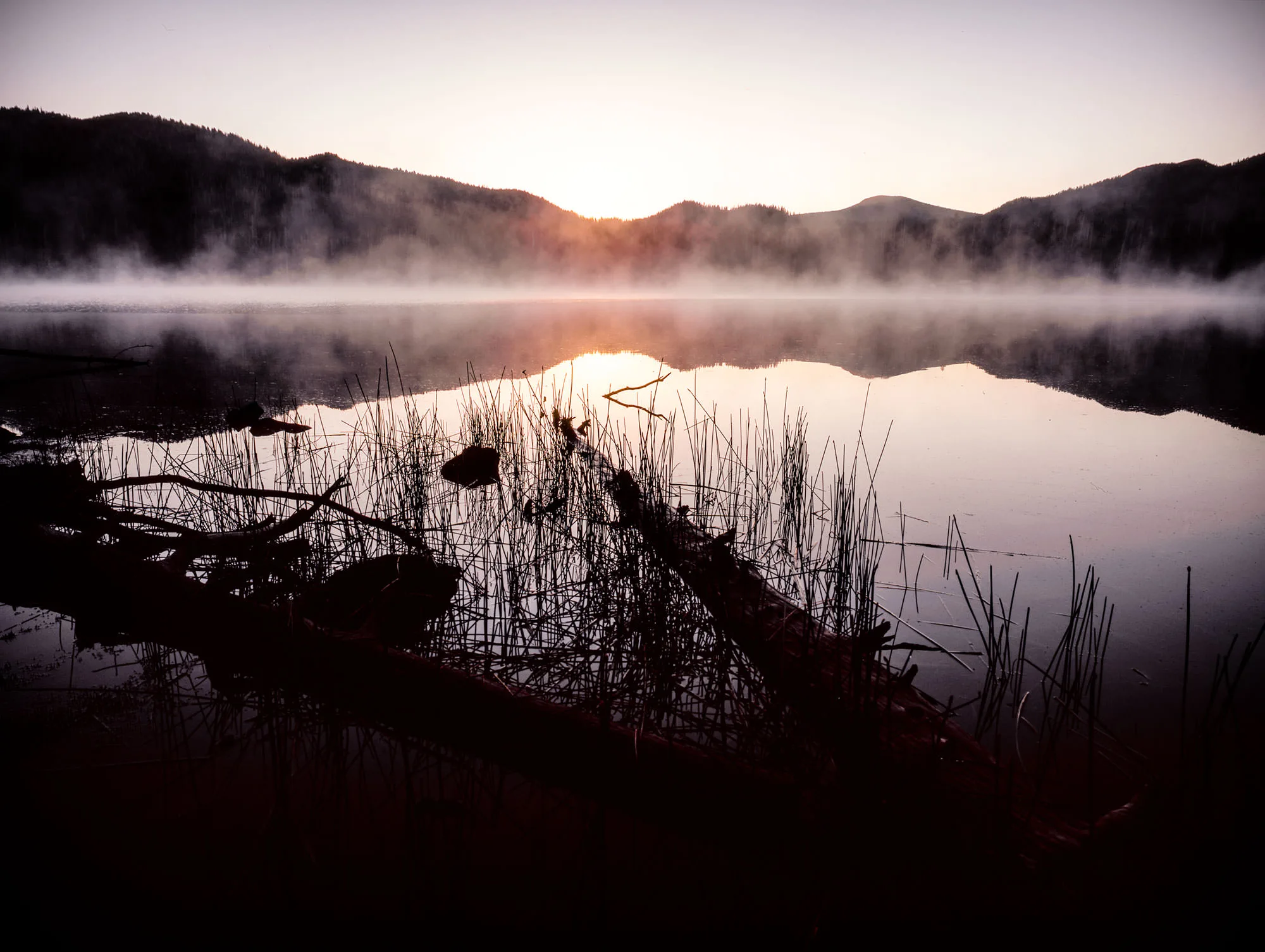Morning mist rises over Sparks Lake in Oregon, with calm water reflecting surrounding hills and sparse reeds. Fallen logs rest partially submerged in the foreground.