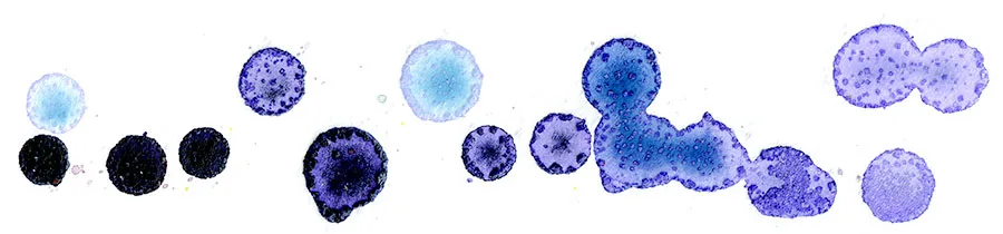 Ink spatter painting of Phish's Stash at the Paradiso, Amsterdam, July 2, 1997