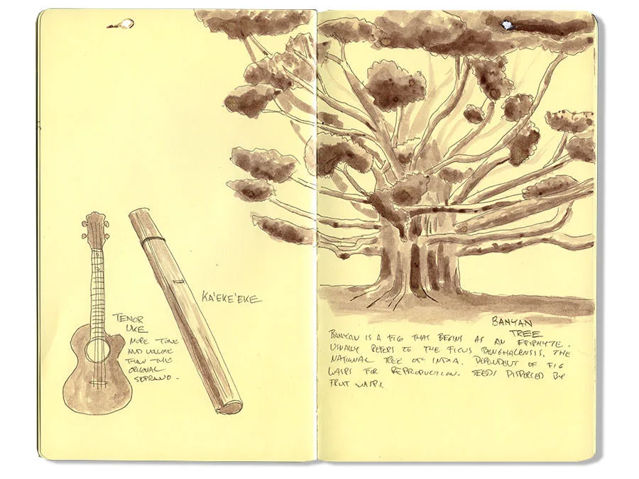 Sketch journal spread with a tenor ukulele, a ka'eke'eke bamboo instrument, and a banyan tree
