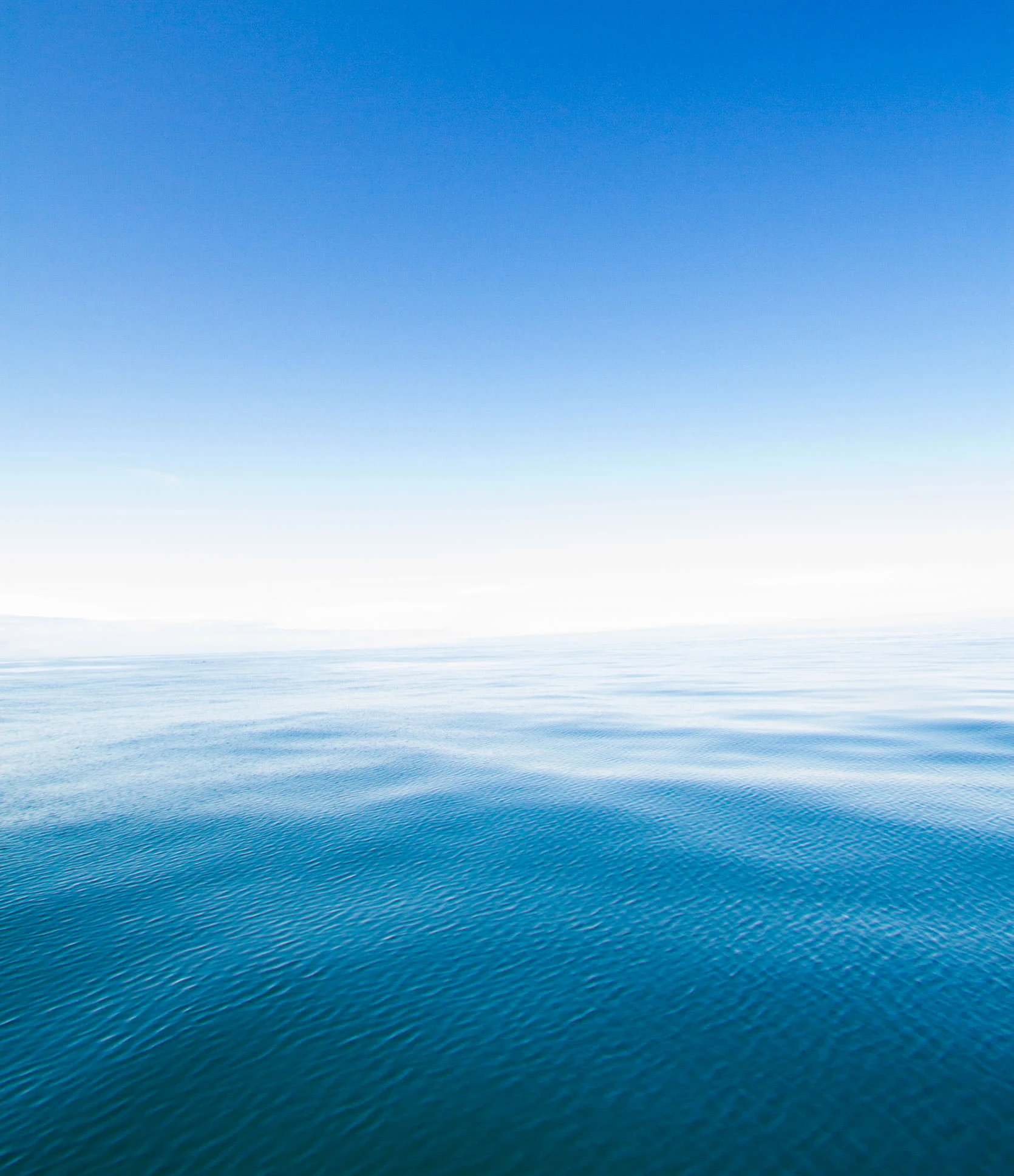 The Pacific Ocean Abyss