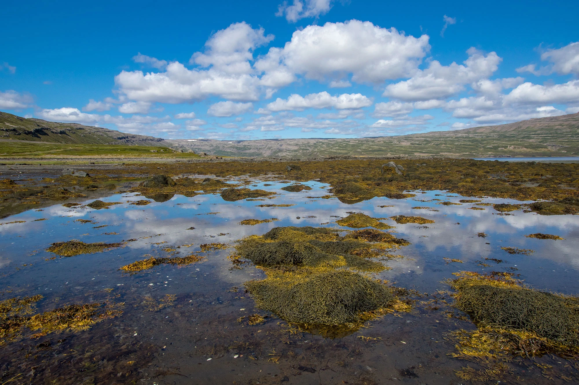 A sunny day along the road to Látrabjarg in Iceland, with tidal flats gleaming under clear skies and rugged Westfjords scenery stretching into the distance.