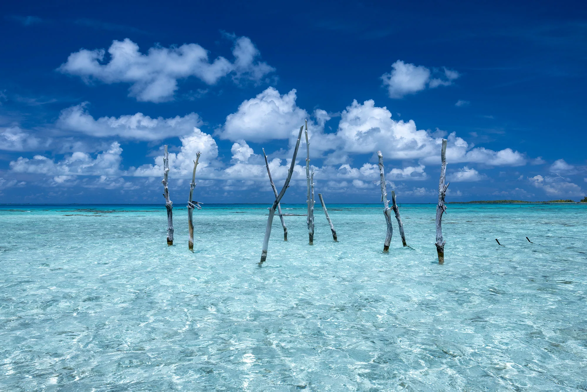 Weathered wooden posts standing in the clear, shallow turquoise water near the Tuheiava Pass, Tikehau.