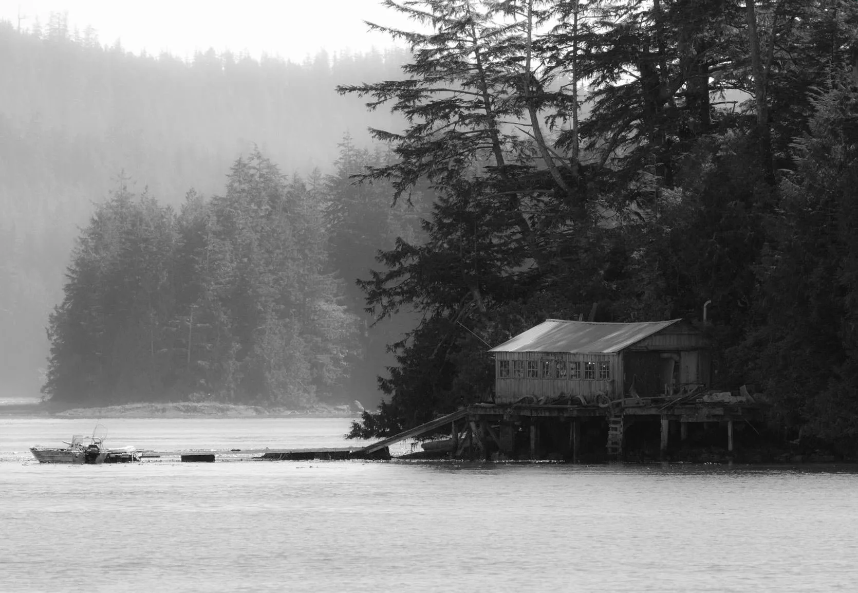 Black-and-white photo of a fisherman's shed on pilings at the edge of a misty, forested islet near Tofino.