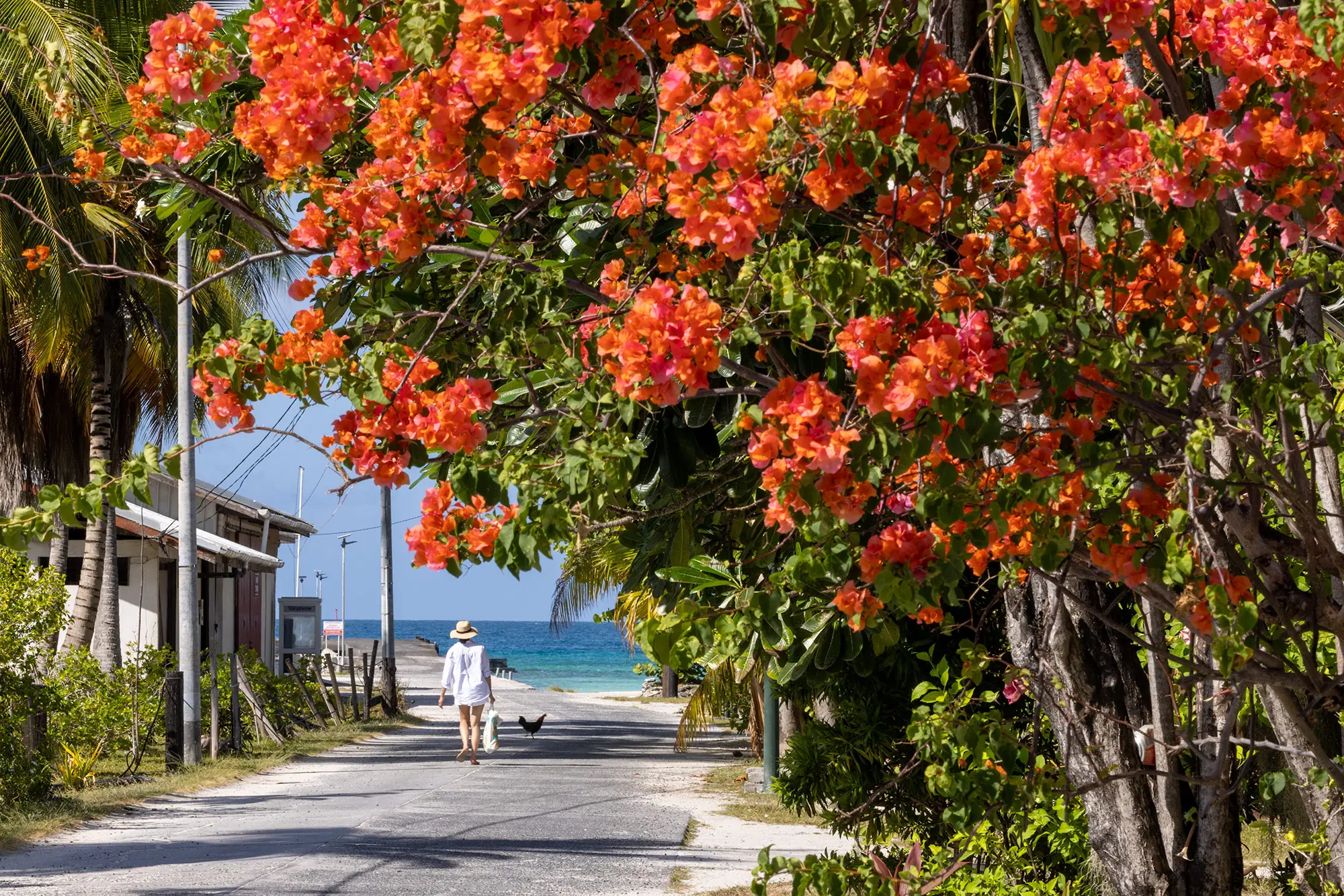 Walking to the pier at Tuherahera, capital village of Tikehau