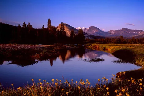 Tuolumne Meadows