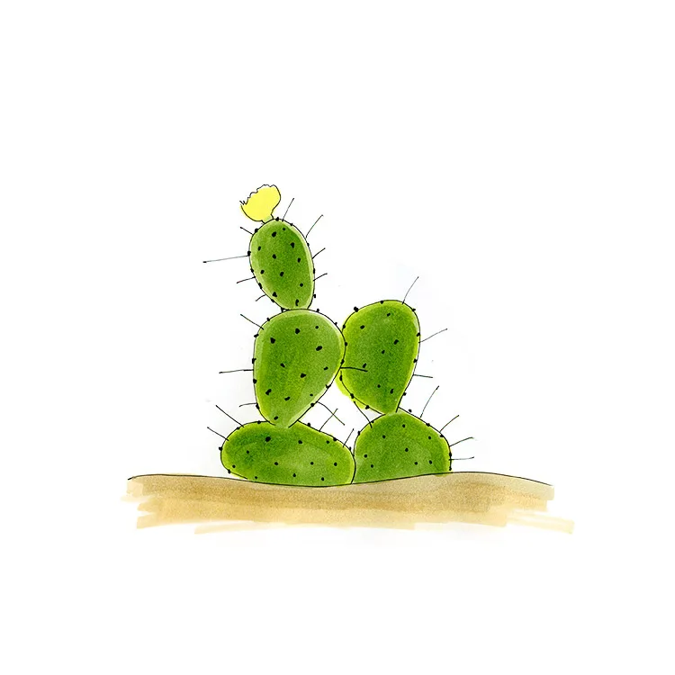 Watercolor illustration of a turban pricklypear (Opuntia turbinata), a few small pads with a yellow flower.