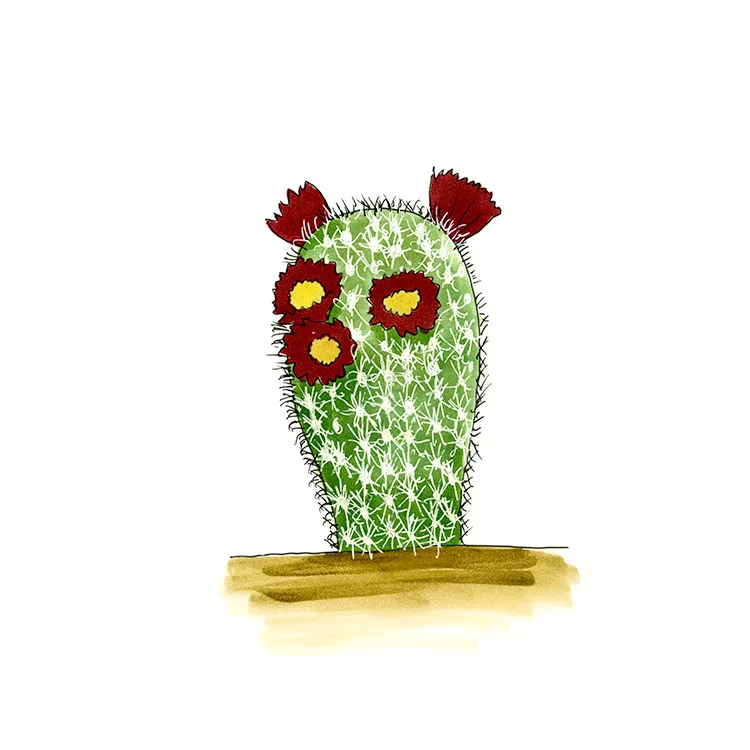 Watercolor illustration of a varied hedgehog cactus (Echinocereus russanthus), an upright spiny cylinder with dark red flowers.