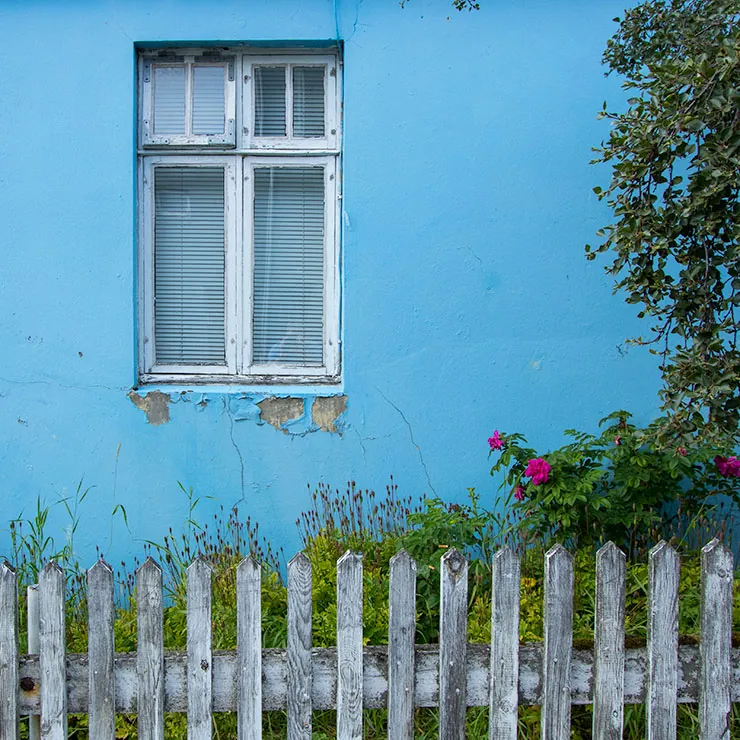 Window with Fence