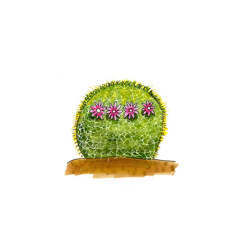 Watercolor illustration of a woolly nipple cactus (Mammillaria nivosa), a rounded yellow-green mound ringed with small pink flowers.