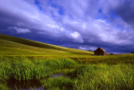 Zumwalt Prairie