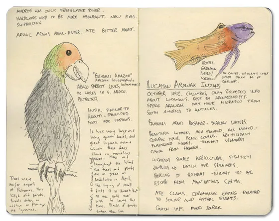 Lucayan Arawak Sketch