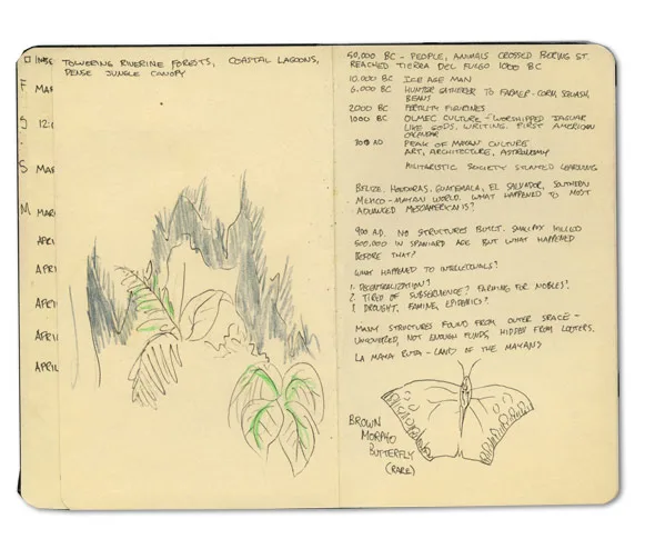 Belize Moleskine page with a jungle canopy, a timeline of Mesoamerica and a brown morpho butterfly