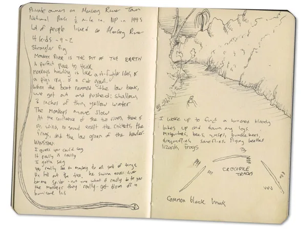 Sketch journal page of crocodile tracks, from a Belize moleskine