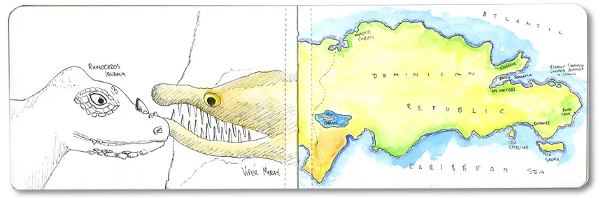 Sketch of a rhinoceros iguana and viper moray beside a watercolor map of the Dominican Republic