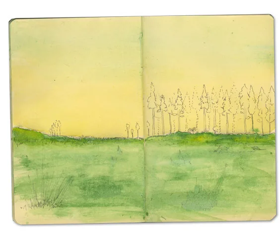 Pine Barrens Sketch