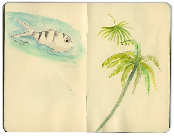 Watercolor of a man-of-war fish and a leaning palm, from a Guana Cay journal