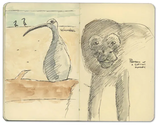 Ink sketch of a monkey, from a Nicaragua journal