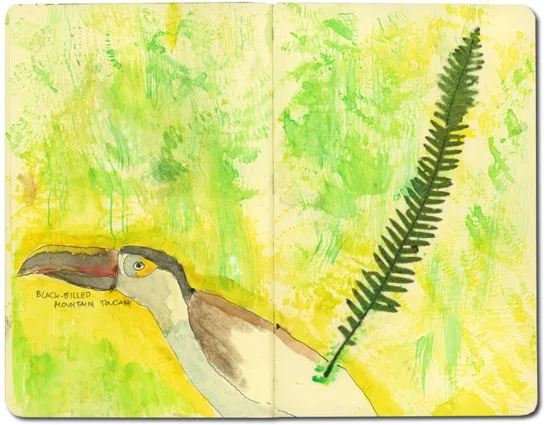 Moleskine Sketch of Toucan