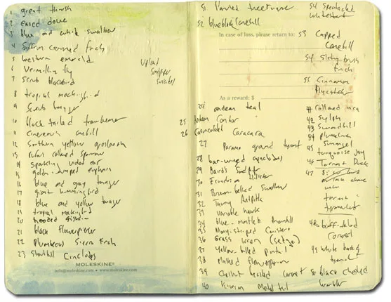 Moleskine notes of birds